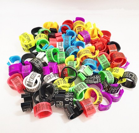 prod_dave ring_4