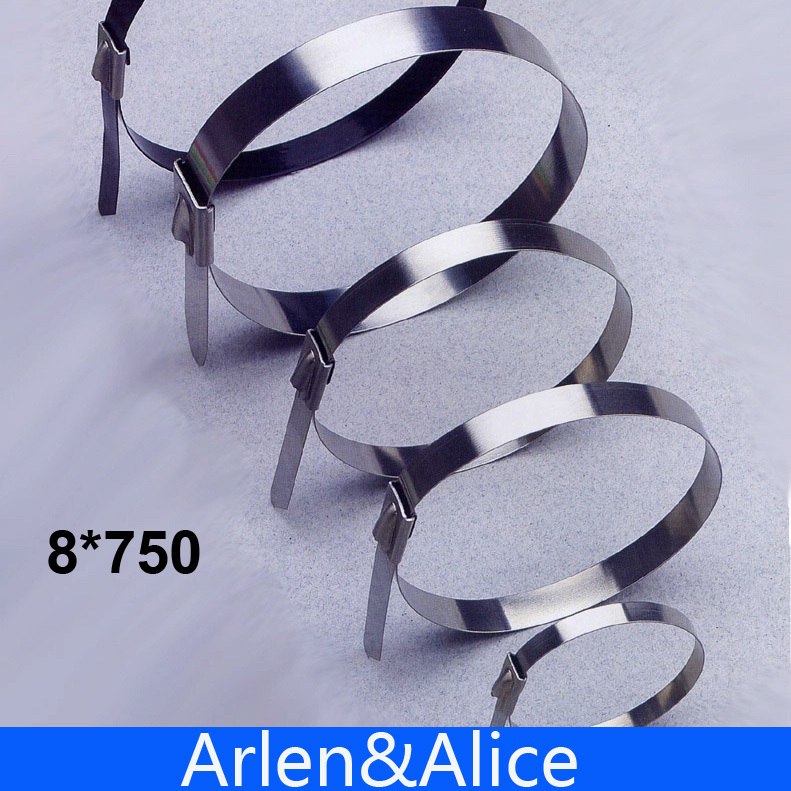 100pcs 8mmx750mm不銹鋼拉鍊電纜綁帶高腐蝕性